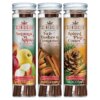 Scentsicles, 6pc Stick, Autumn 'n Apples, Two Dashes of Cinnamon, Spiced Pine Cones - 3 Pack