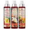 Scentsicles, Scent Mister, 1 Into the Vanilla Woods/1 Autumn 'n Apples/ 1 Spiced Pine Cones - 3 pack