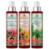 Scentsicles, Scent Mister 1 White Winter Fir/ 1 Snowberry Pine/1 Spiced Pine Cones - 3 pack
