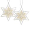 Scentsicles Scented Star Ornament, White Winter Fir, 2-Pack
